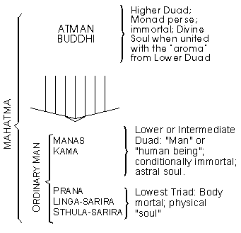 diagram: human principles