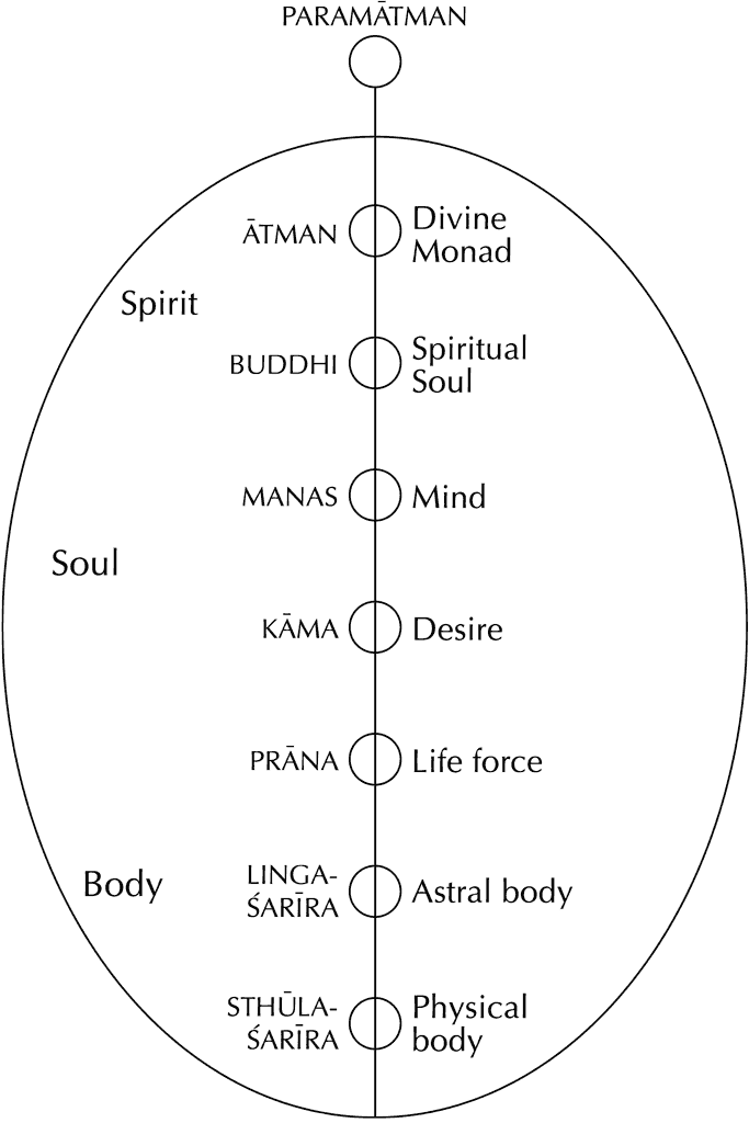 Diagram: Seven principles in man