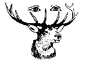 stag