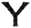 Y