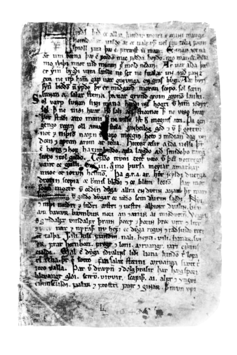 Regius Codex_Page_1