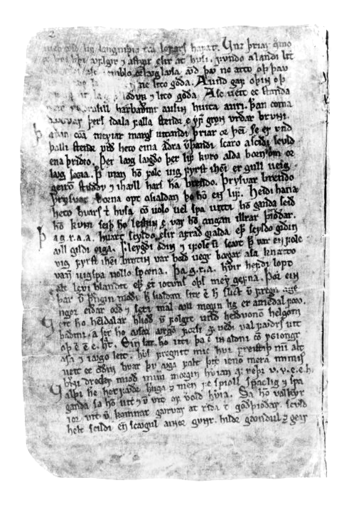 Regius Codex_Page_2