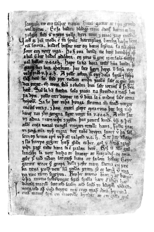 Regius Codex_Page_3