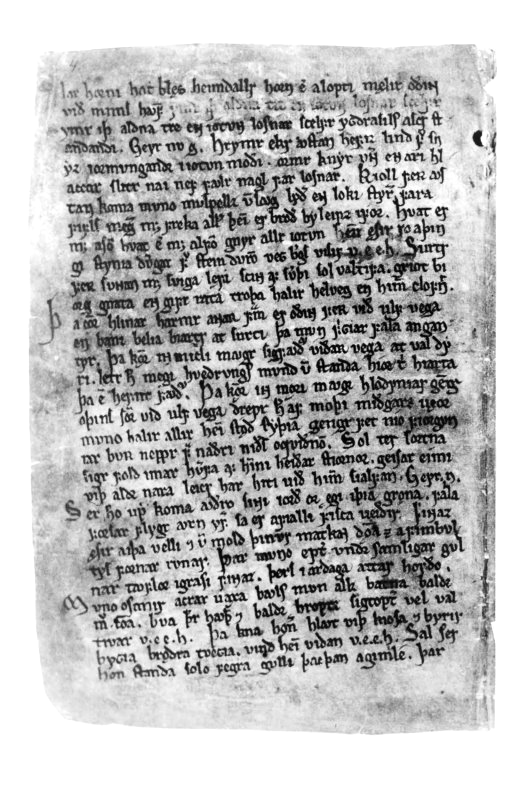 Regius Codex_Page_4