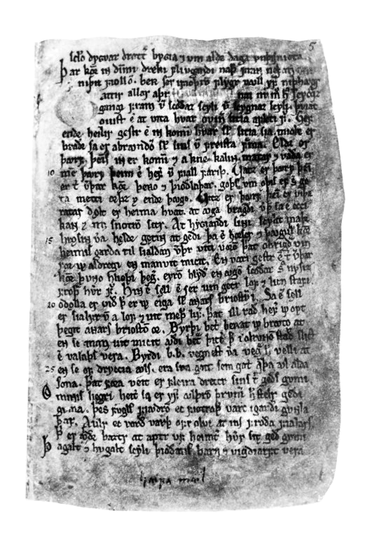 Regius Codex_Page_5