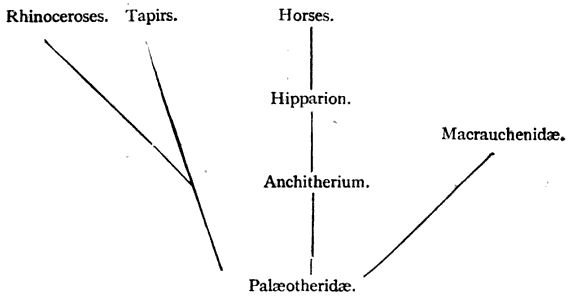 Family Tree 1