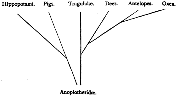 Family Tree 2