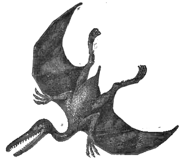 Pterodactylus