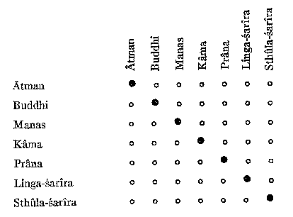 diagram: principles interpenetrate each other